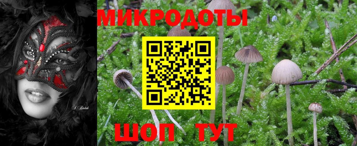 Кольчугино  Галлюциногенные грибы мицелий  Вход с VPN  Псилоцибиновые грибы GOLDEN TEACHER 