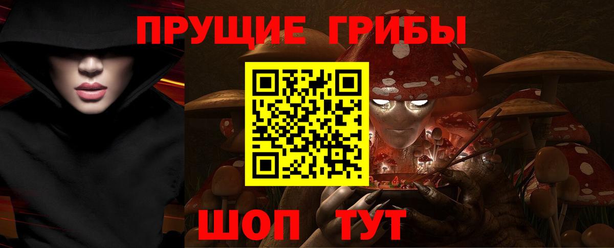 Галлюциногенные грибы Psilocybine cubensis Кольчугино